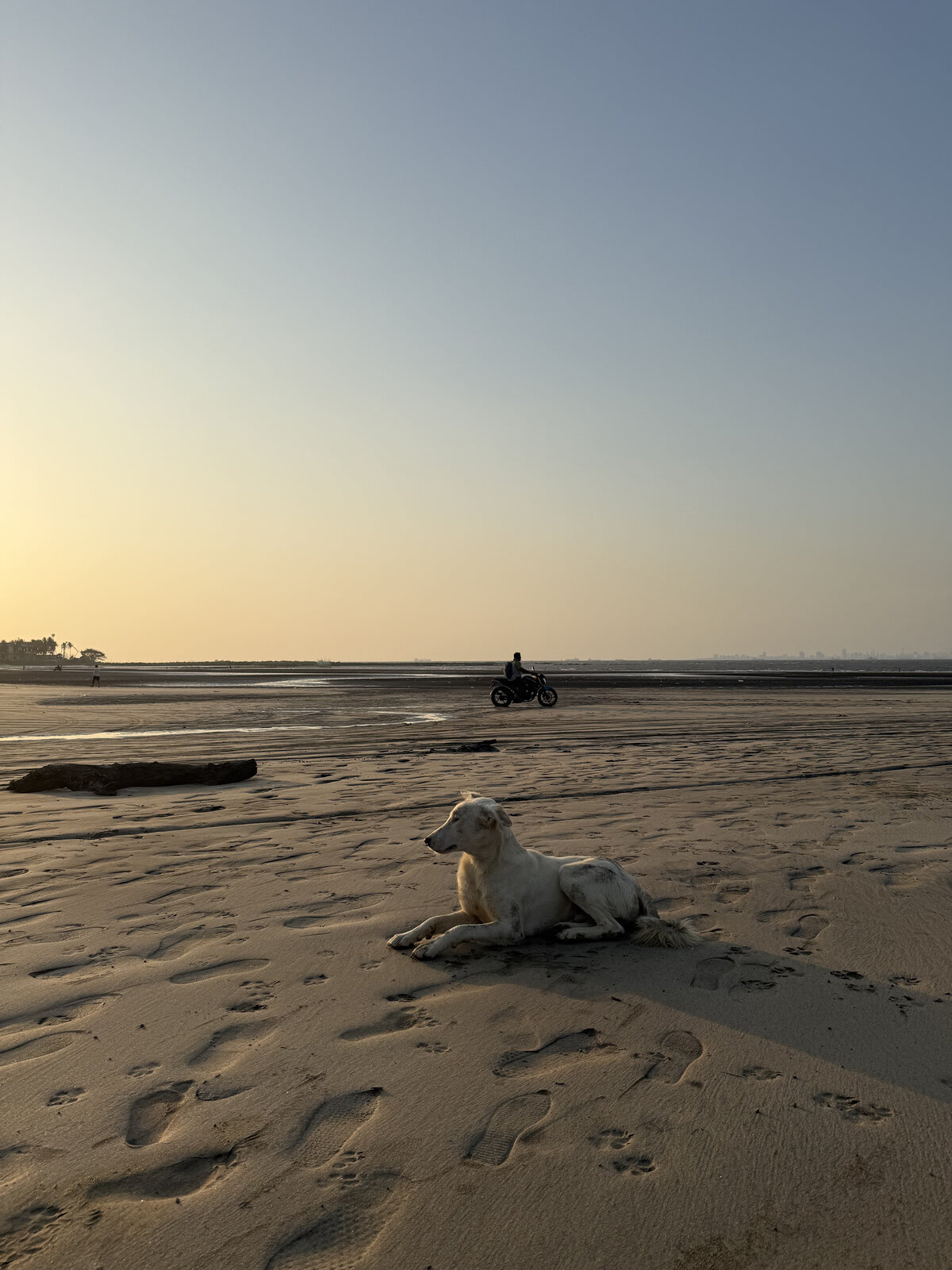 Mohit Agarwal — beyond work